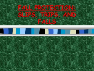 FALL PROTECTION: SLIPS, TRIPS, AND FALLS