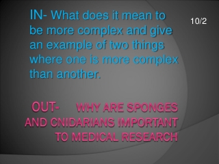 Out- Why are Sponges and Cnidarians important to medical research