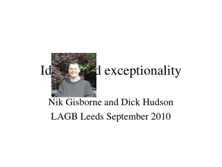 Idioms and exceptionality