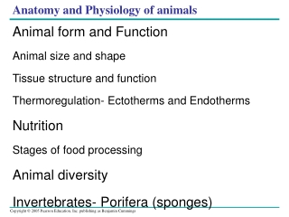 Anatomy and Physiology of animals
