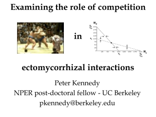 Examining the role of competition in ectomycorrhizal interactions