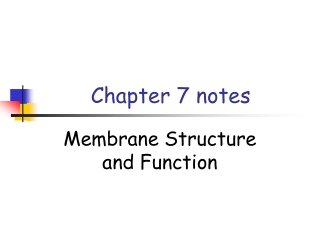 Chapter 7 notes