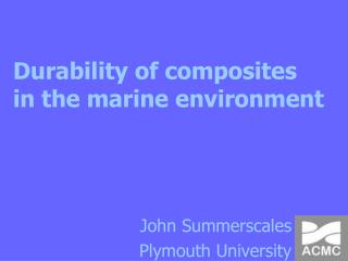 Durability of composites in the marine environment