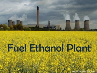 Fuel Ethanol Plant- Excel Engineers & Consultants