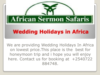 Wedding Holidays In Africa