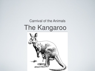 The Kangaroo