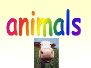 animals