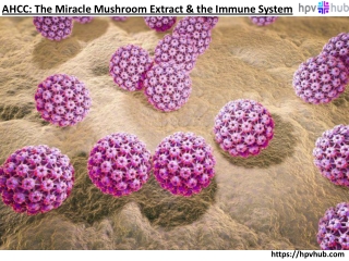 AHCC - HPV Treatment: The Miracle Mushroom Extract & the Immune System