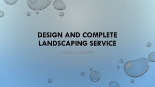 Professional Landscaping Services Vienna VA