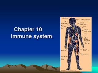 Chapter 10 Immune system