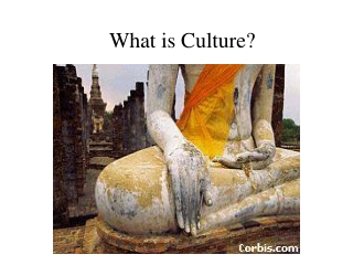 What is Culture?