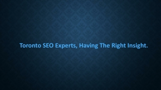 Toronto SEO Experts, Having The Right Insight.