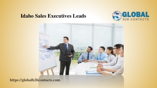 Idaho Sales Executives Leads