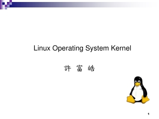 Linux Operating System Kernel 許 富 皓