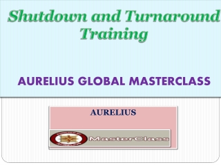 Shutdown and Turnaround Training