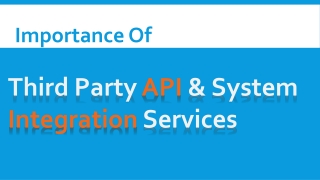 Third Party API & System Integration Services