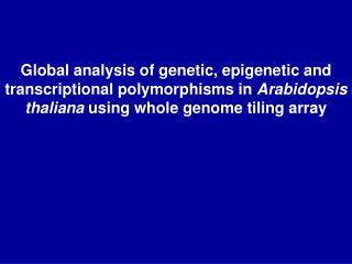 Global analysis of genetic, epigenetic and transcriptional polymorphisms in Arabidopsis thaliana using whole genome ti