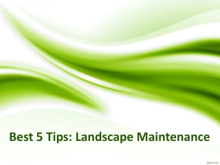 Best Tips For Landscape Maintenance