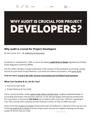 Why audit is crucial for Project Developers