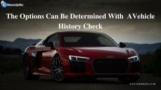 The Truth Of Being Fearless With A Vehicle History Check