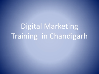 Digital Marketing Training in Chandigarh