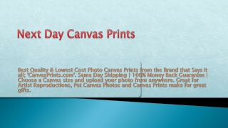 Next Day Canvas Prints