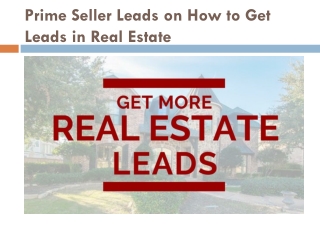 Prime Seller Leads on How to Get Leads in Real Estate