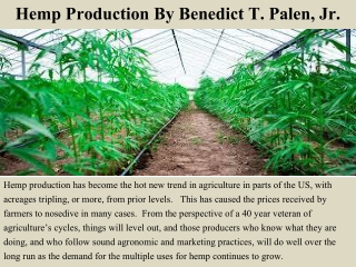 Hemp Production By Benedict T. Palen, Jr.