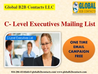 C- Level Executives Mailing List