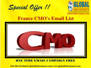 France CMO's Email List