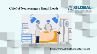 Chief of Neurosurgery Email Leads