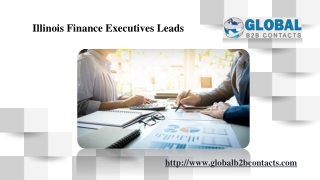 Illinois Finance Executives Leads