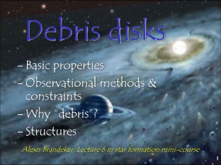 Debris disks