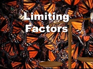 Limiting Factors