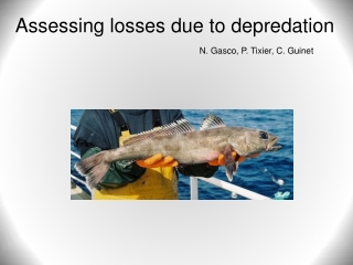 Assessing losses due to depredation
