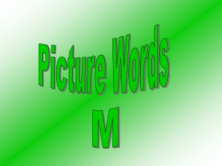 Picture Words