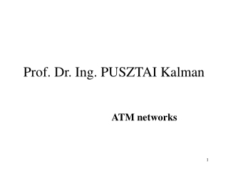 Prof. Dr. Ing. PUSZTAI Kalman