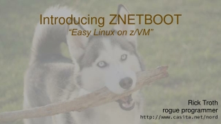 Introducing ZNETBOOT “Easy Linux on z/VM”