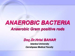 ANAEROBIC BACTERIA Anaerobic Gram positive rods