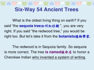 Six-Way 54 Ancient Trees