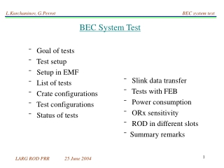 BEC System Test