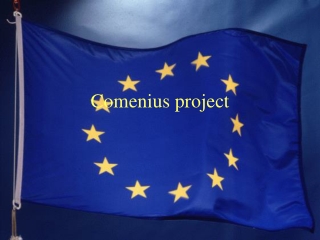 Comenius project