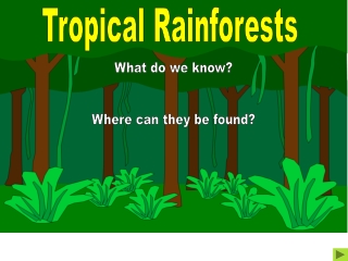 Tropical Rainforests