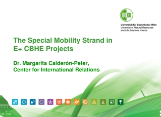 EU Rules for Special Mobility Strand 1/3