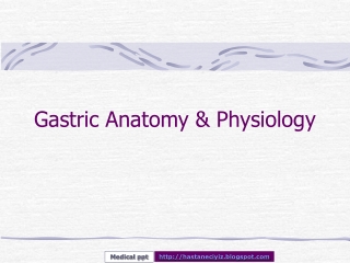 Gastric Anatomy &amp; Physiology