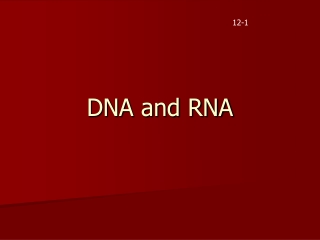 DNA and RNA