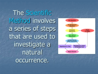 Ask a Question Do Background Research Construct a Hypothesis