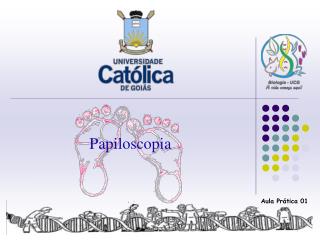 Papiloscopia