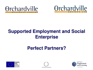 Supported Employment and Social Enterprise Perfect Partners?