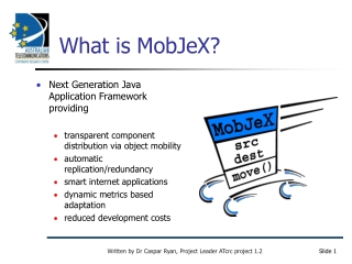 What is MobJeX?